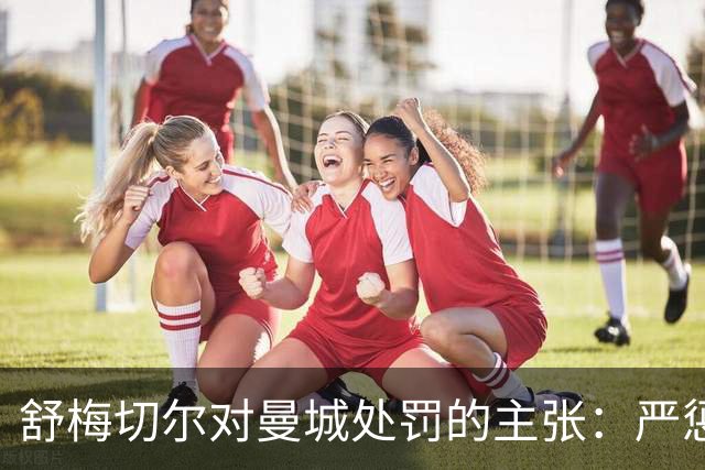 舒梅切尔对曼城处罚的主张：严惩惩戒但不降级